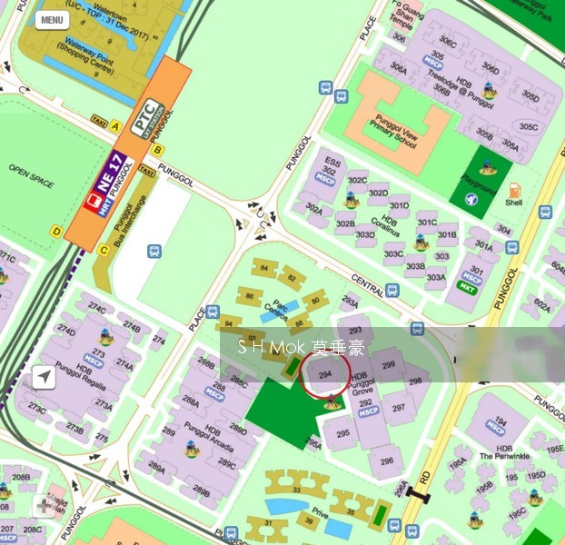 Blk 294 Punggol Central (Punggol), HDB 5 Rooms #125488932